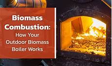 Biomass Boilers