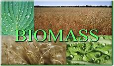 Biomass Heating