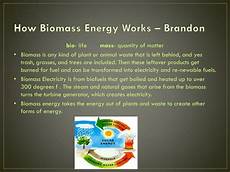 Biomass Steam Generator