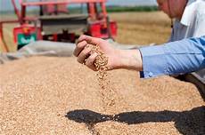 Grain Drying Boiler
