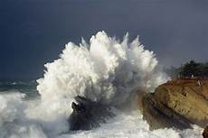 Whale Boiler
